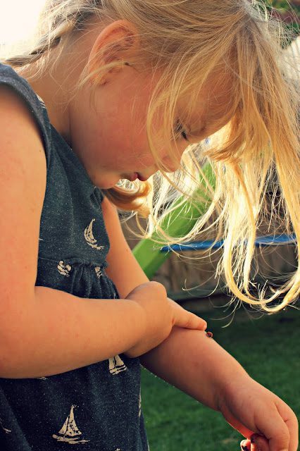 bug hunting in the garden