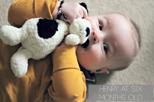 baby at six months old