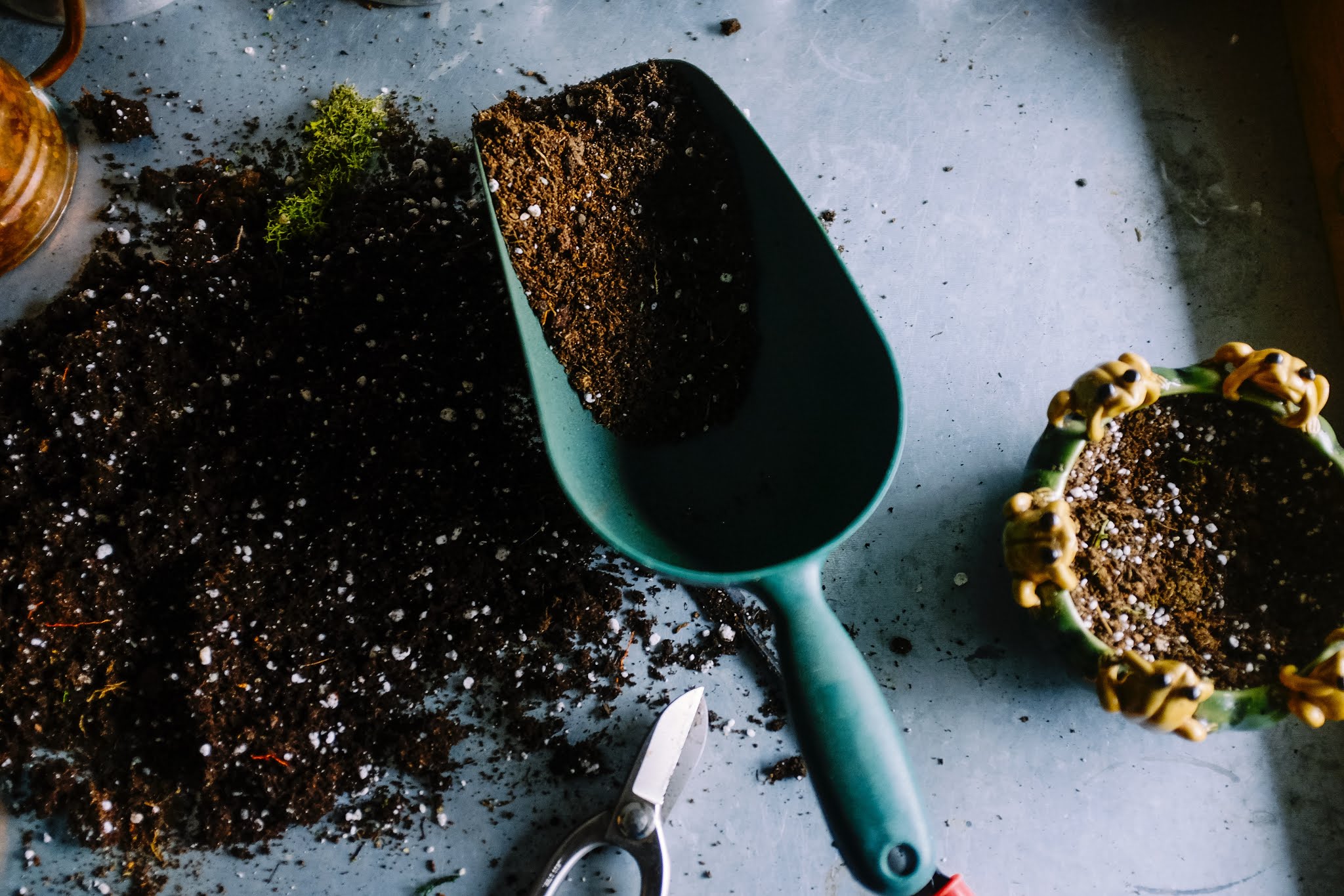 compost for your garden