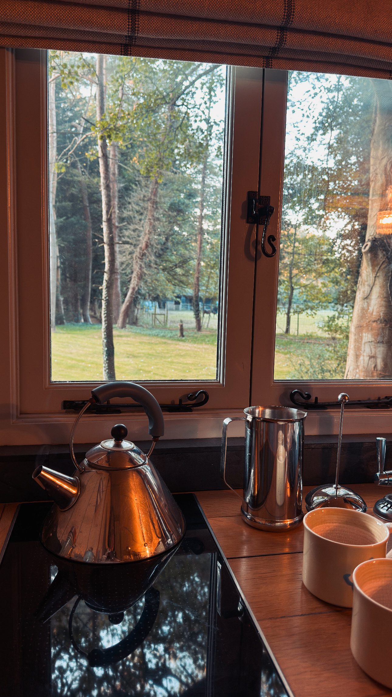Cosy shepards hut surrounded by trees in Norfolk